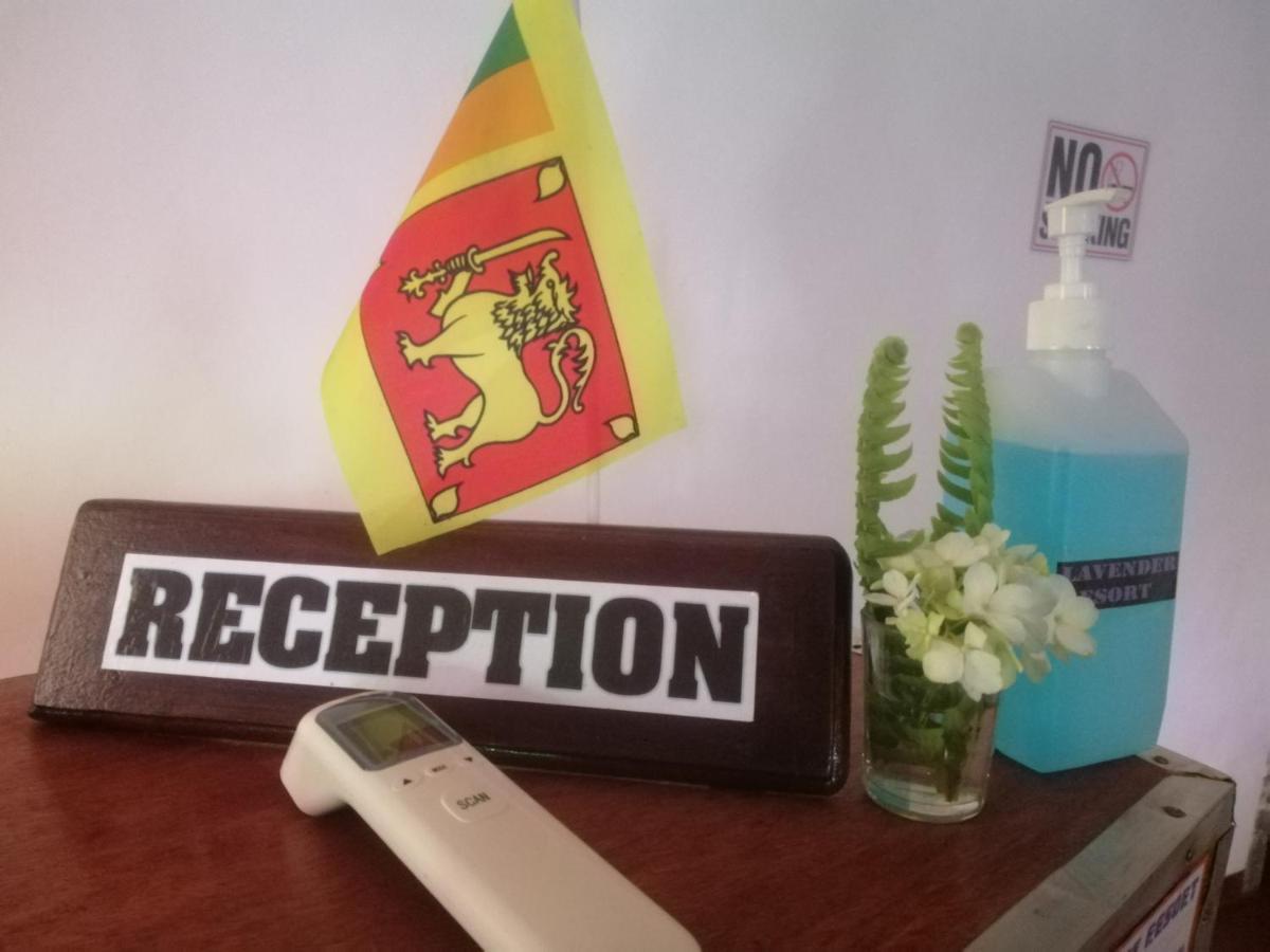 Lavender Resort 努沃勒埃利耶 外观 照片
